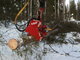 Harvesters-Tapio