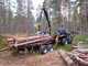 Forest and wood-Muu merkki