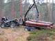 Forest and wood-Muu merkki