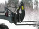 Forest and wood-Muu merkki