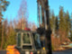 Forklift trucks-Dantruck