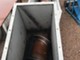 Waste / Recycling & Quarry Equipment-Muu merkki