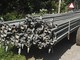 Plant protection and irrigating-Bauer