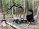 Forest and wood-Muu merkki