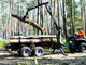 Forest and wood-Vahva