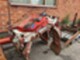 Equipment and forklift spare parts-Muu merkki