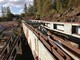 Chain conveyors and forest machinery rollers-Muu merkki