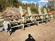 Chain conveyors and forest machinery rollers-Muu merkki