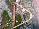 Spare parts for processing machinery-Muu merkki