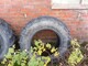 Spare parts for agriculture machinery-Continental