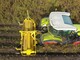 Root crop machinery-Ropa