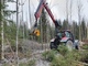 Metsäkoneen lisävarusteet ja varaosat-Muu merkki