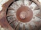 Spare parts for processing machinery-Muu merkki