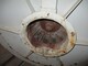 Spare parts for processing machinery-Muu merkki