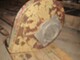 Spare parts for processing machinery-Muu merkki