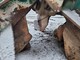 Equipment and spare parts for forest machinery-Muu merkki