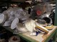 Spare parts for processing machinery-Muu merkki