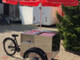 Sales vehicles and trailers-BM Grupa