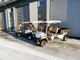 Golf carts-Muu merkki