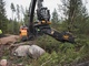 Pienmetsäkoneet-TMK