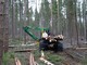 Puun ja polttopuun käsittely-Muu merkki