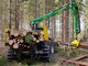 Puun ja polttopuun käsittely-Muu merkki