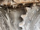 Excavators-Yuchai
