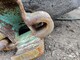 Equipment and spare parts for forest machinery-Muu merkki