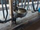 Livestock machinery-DeLaval