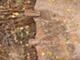 Accessories-Gjerstad