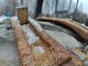 Equipment and spare parts for forest machinery-Muu merkki