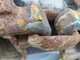 Equipment and spare parts for forest machinery-Muu merkki