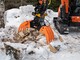 Lisävarusteet ja kaivinkoneen lisälaitteet-KX-Treeshears
