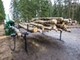 Forest and wood-Kellfri