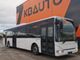 Bus/Coach-Iveco