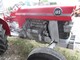 Traktorit-Massey Ferguson