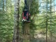 Metsäkoneen lisävarusteet ja varaosat-Farmikko