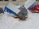 Road and snow machines-Muu merkki