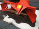Road and snow machines-Esko