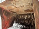 Equipment and excavator addons-Allu