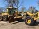 Other-Caterpillar