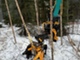 Equipment and spare parts for forest machinery-TMK