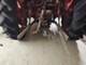 Tractors-David Brown