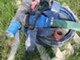 Plant protection and irrigating-Bauer