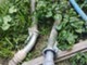 Plant protection and irrigating-Bauer