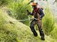 Grass trimmers-Stihl