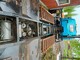 Trucks-Sisu