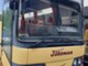 Bus/Coach-Volvo