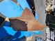 Tillage machines-Lemken
