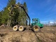 Forwarders-Lokomo